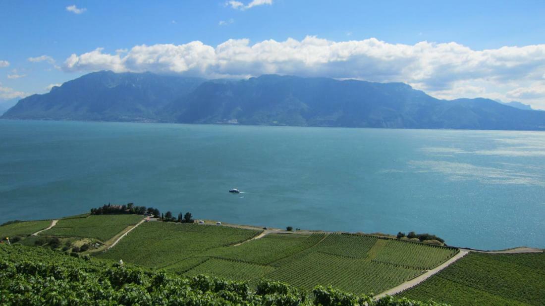 Maison Familiale A Montreux Avec Vue Sur Le Lac Villa Exterior photo