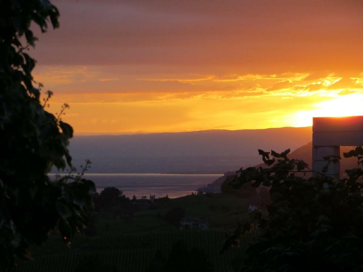 Maison Familiale A Montreux Avec Vue Sur Le Lac Villa Exterior photo